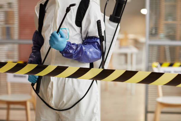Professional Hoarding Cleanup technician working in Hope, NJ